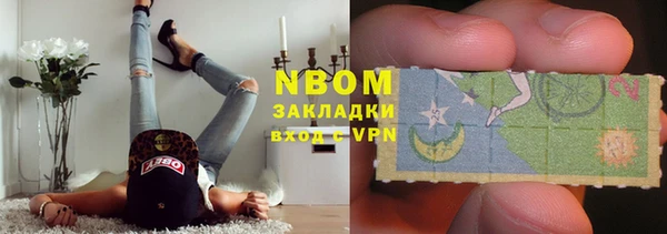 стафф Гусев