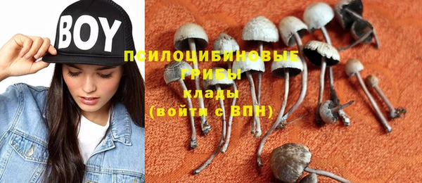 индика Елизово