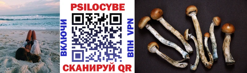 Псилоцибиновые грибы Magic Shrooms  Купить  Рузаевка 