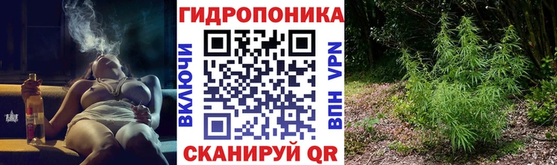 Купить где  Рузаевка  Бошки марихуана сатива 